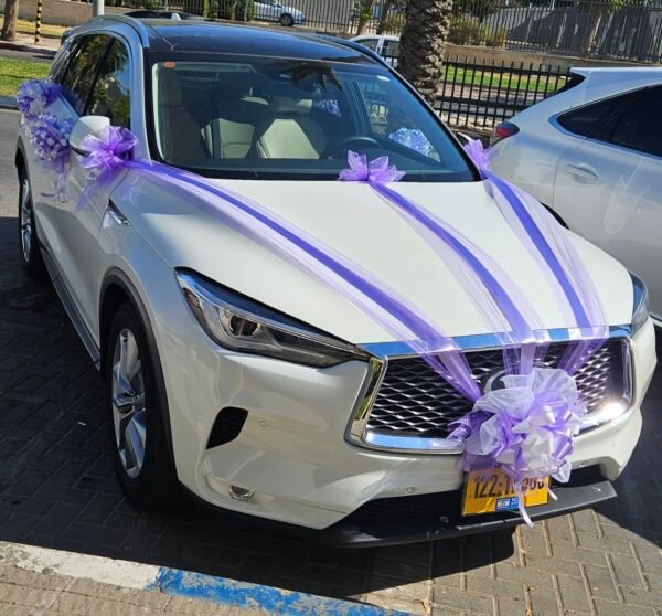 קישוט רכב פשוט