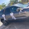 ⁦קישוט רכב עם גיבסנית⁩ – תמונה ⁦2⁩